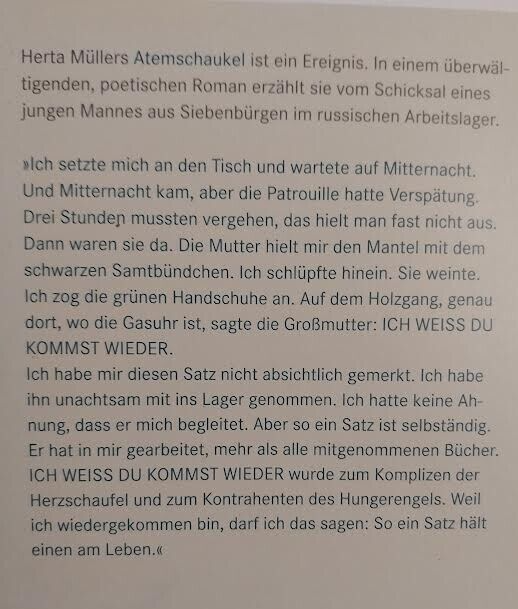 Bild 2 von 3
