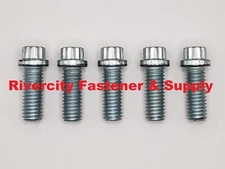3/8-16x1 Alloy Steel 12 Point Flange Screws 3/8-16x1 Extra Strong Bolts 3/8x1 ZN