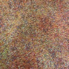 Bild 2 von 12