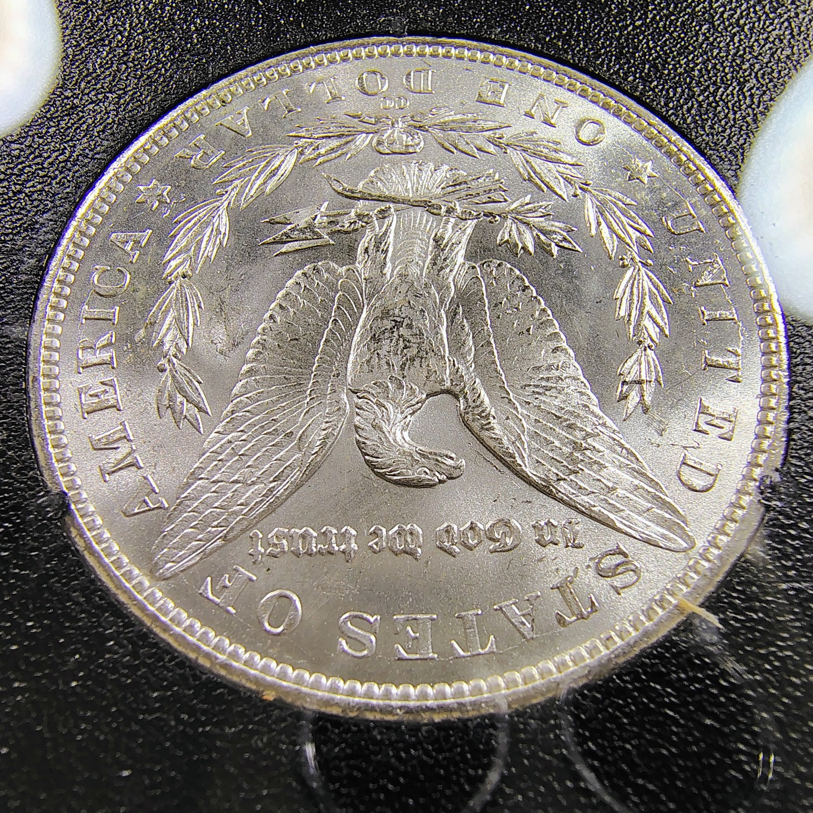 Picture 16 of 17