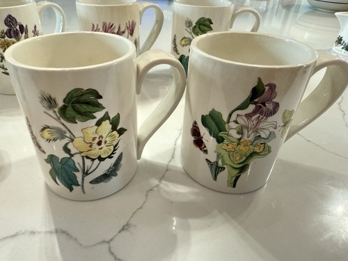 Set Of 7 Portmeirion Botanic Garden Coffee Tea Mugs - 第 2/12 張圖片