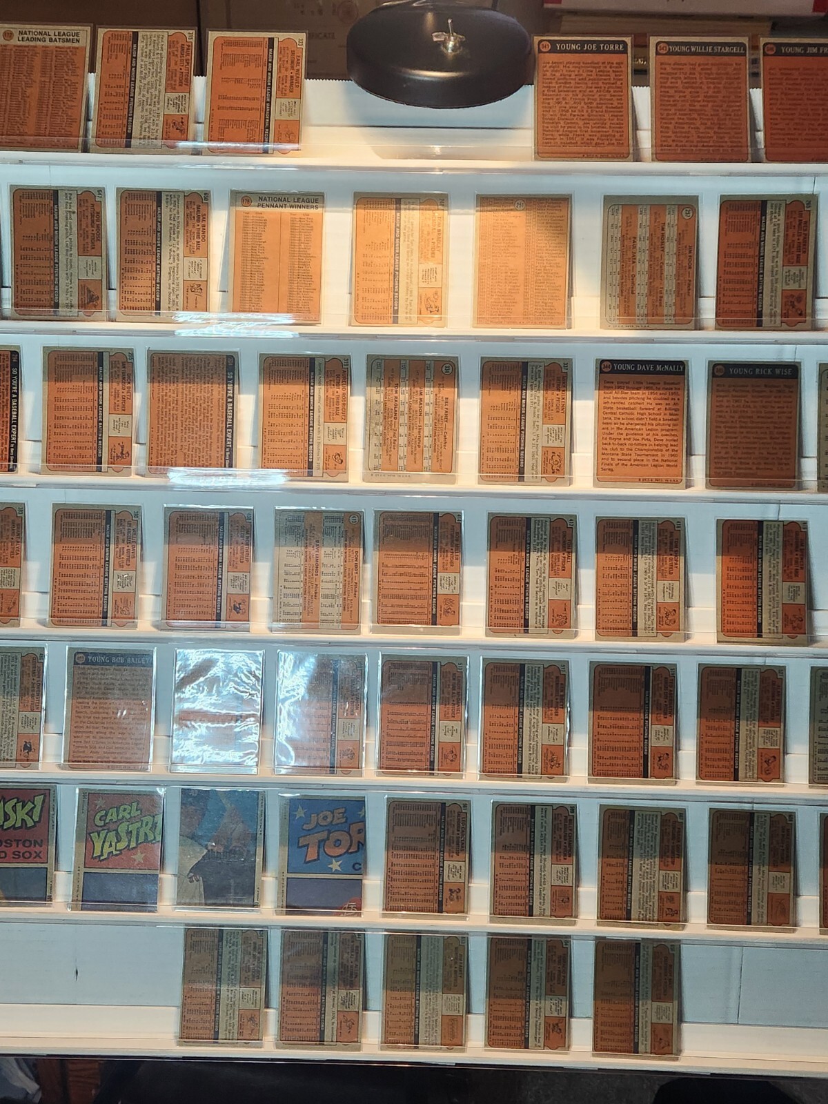 Picture 8 of 8