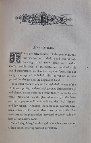 The DARK YEAR Of DUNDEE - A Story of the SCOTTISH REFORMATION / 1869 - Picture 14 of 24