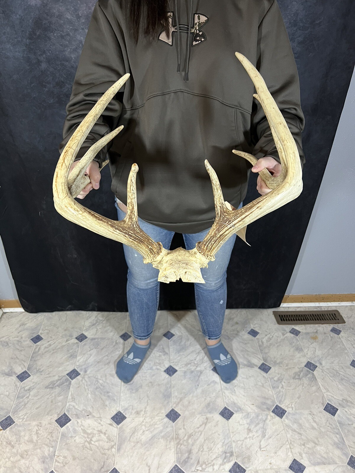 Wild 8 Point Whitetail Deer Antler Rack Horn Skull Plate Decor Cabin