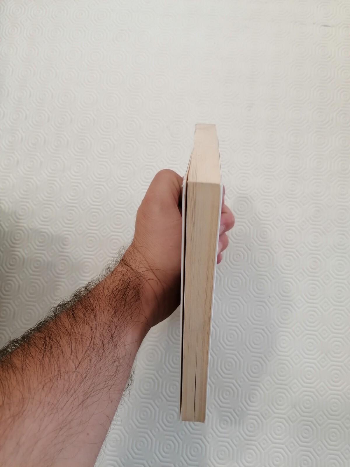Foto 2 di 3