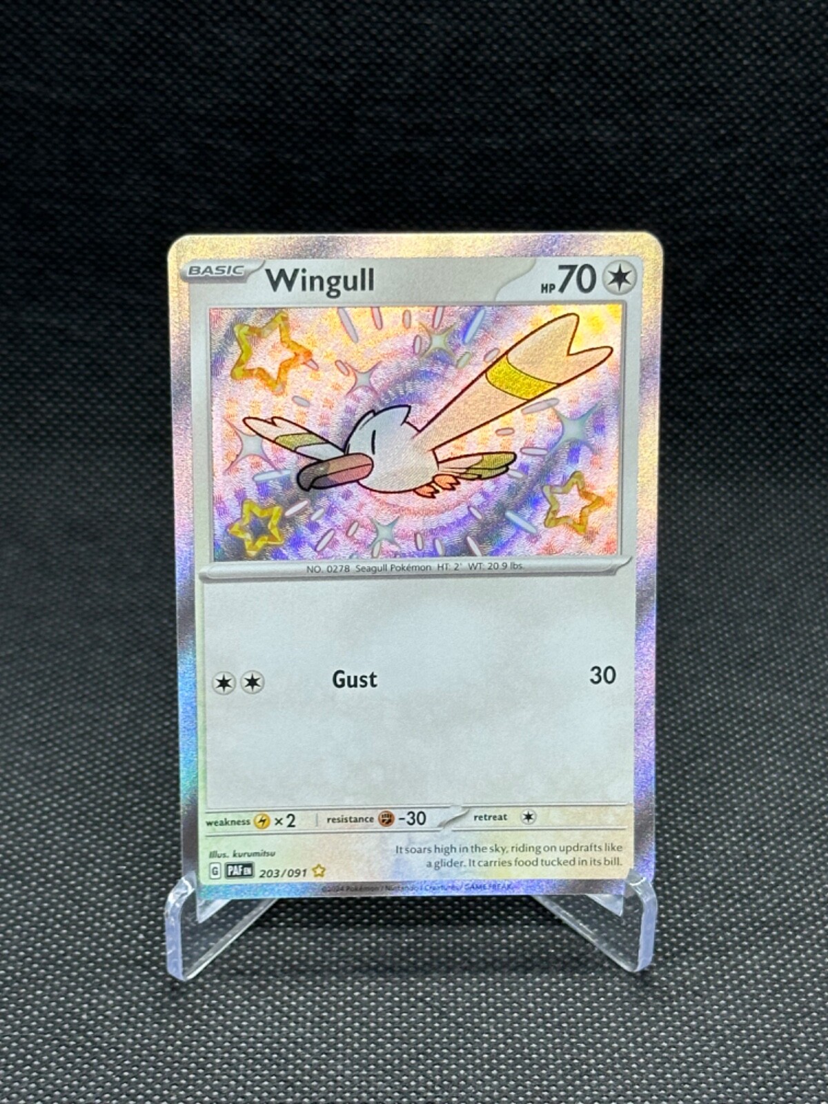 Pokemon TCG Wingull 203/091 Holo Paldean Fates