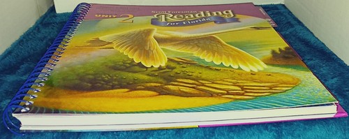 Person Publication 2002 Scott Foresman Reading for Florida Grade 5, Unit 2 book - Bild 4 von 16