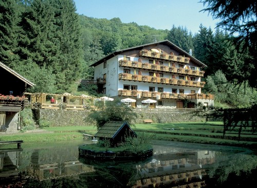 Kopp Wolffhotel escapada Vulkaneifel 2 pers. 3 días / 2 noches desayuno sauna - Imagen 5 de 12