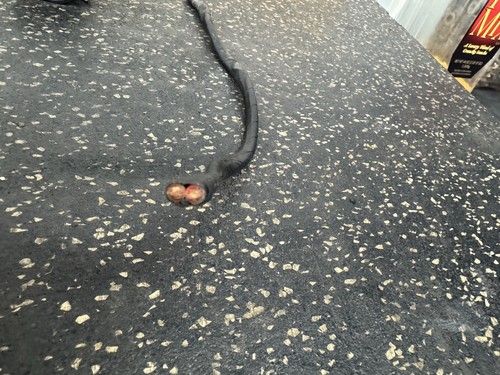 07-11 BMW E90 E92 335i 328i Cooling Radiator Fan Wiring Pigtail Connector Plug - Picture 8 of 8