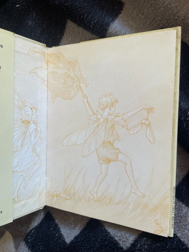 CICELY MARY BARKER. FLOWER FAIRIES OF THE SPRING. HARDCOVER WJACKET. 1990 - Bild 2 von 9
