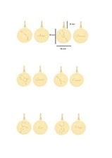 Round 9ct Yellow Gold Zodiac Constellation Horoscope Charm Pendant For Necklace