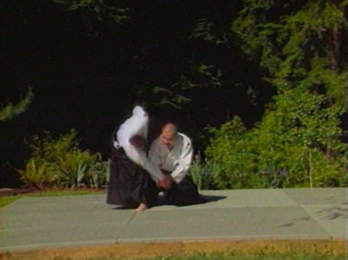 Samurai Aikijutsu DVD by Toshishiro Obata - Bild 3 von 6