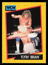 1991 Impel WCW World Championship Wrestling Cards #1-#162 You Pick Choose