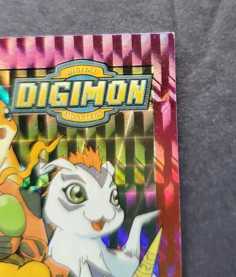 13 Gomamon 16 of 34 Rookie Digimons 2000 Digimon CCG Card NM