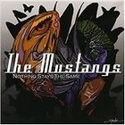 The Mustangs - Nothing Stays the Same (2013)