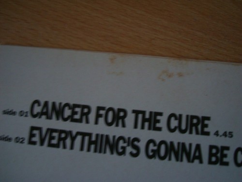 EELS Cancer For The Cure 7" Vinyl 1998 - Picture 4 of 5