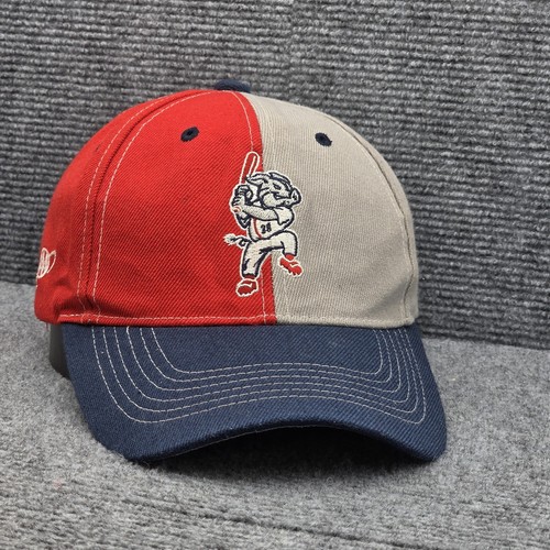 DE COLECCIÓN Memphis Redbirds Sombrero Gorra Correa Trasera Para Hombres Rojo Tostado Azul MILB Béisbol Años 90 - Imagen 2 de 9