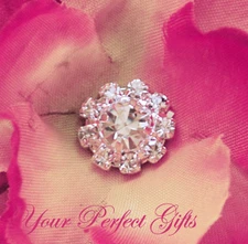 10 Round Circle Rhinestone Crystal Button Buckle Clip