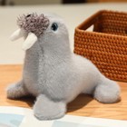 Bild 4 von 19