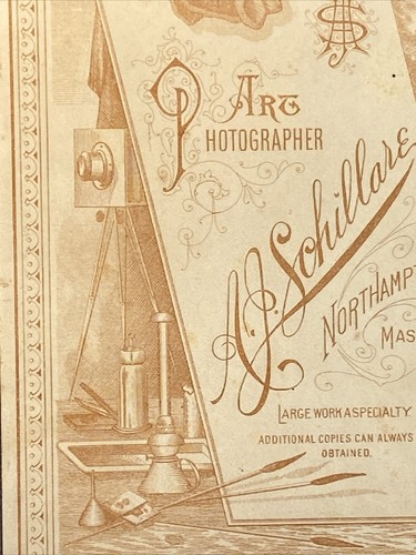 CABINET CARD Anastasia Lyrns(?) By Art Photographer A.Schillare Northampton Mass - Picture 3 of 12