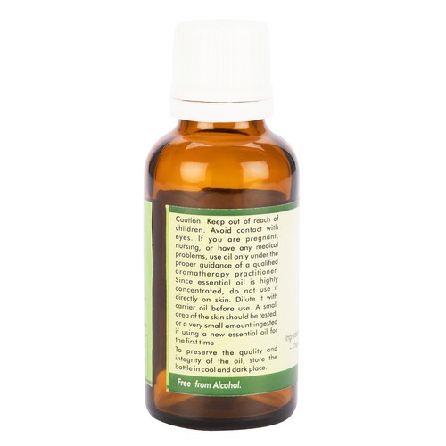 Aceite de rosa rosa damascena rejuvenece la piel seca apatía alivia el estrés depresión - Imagen 20 de 30
