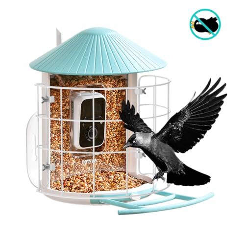 Birdfy Shield, Keep Out Birds' Predators, Must-Have Birdfy Feeder - Picture 3 of 7