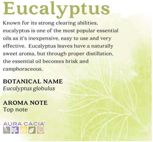 Aura Cacia Eucalyptus Essential Oils 15ml, 0.5oz - Picture 3 of 10