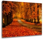 Bild 11 von 16