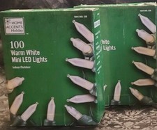 Home Accents 100 Light LED Mini Warm White Lights, Green Wire. From Home Depot