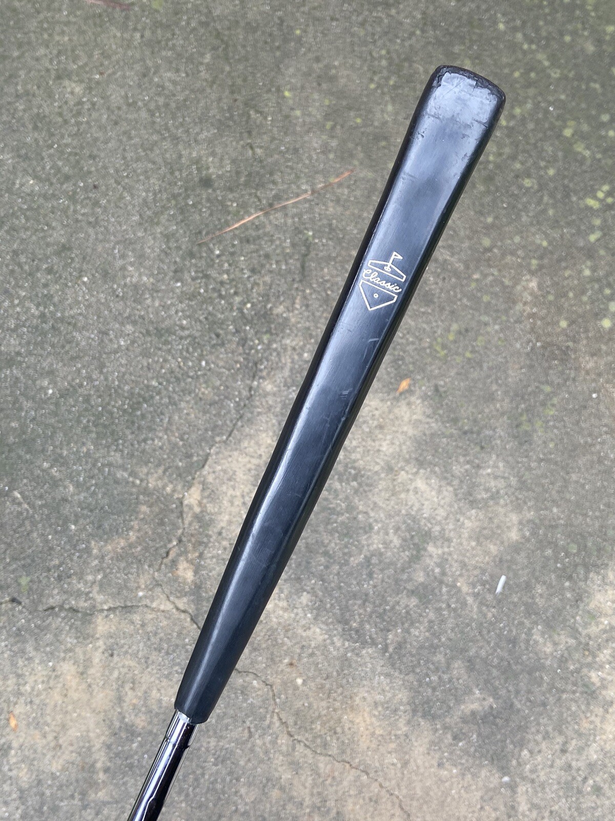 Picture 5 of 5