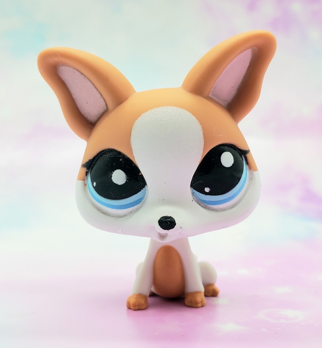 わんちゃん 5点6-60 原色 ＋ 5点ローオーブ原色 Hasbro Toy 63638 Littlest Pet Shop Pairs and Portables