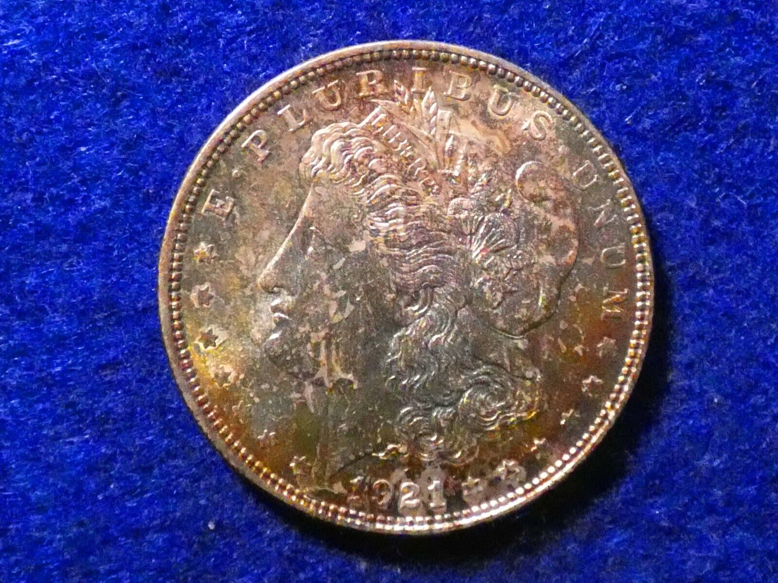 Picture 23 of 24