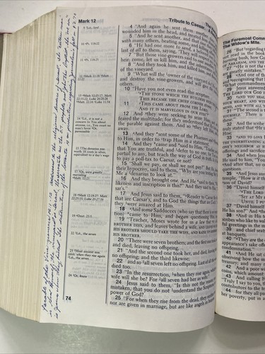 New American Standard Bible, Moody Press - Bild 12 von 14