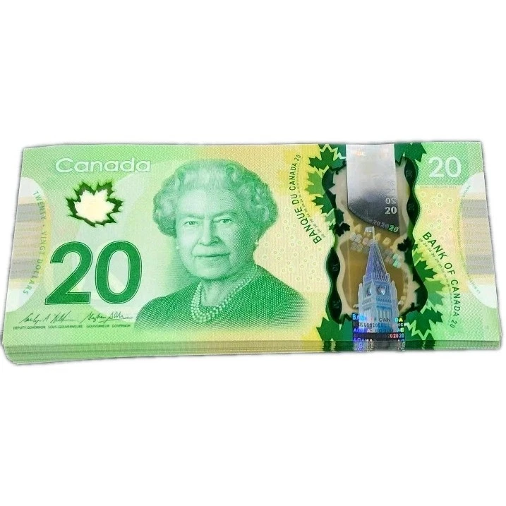 ONE Random Banknote 2015 Canada $20 Dollar Commemorative Queen Elizabeth II - Image 2 of 2