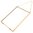 Glass Hanging Wall Frame Frames for Pressed Flowers Specimen Holder Clip