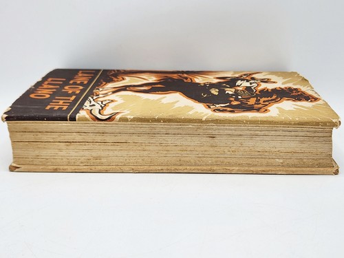 LANE OF THE LLANO: Being the Story of Jim Lane Cook by T.M. PEARCE * 1936 1st ED - Bild 20 von 22