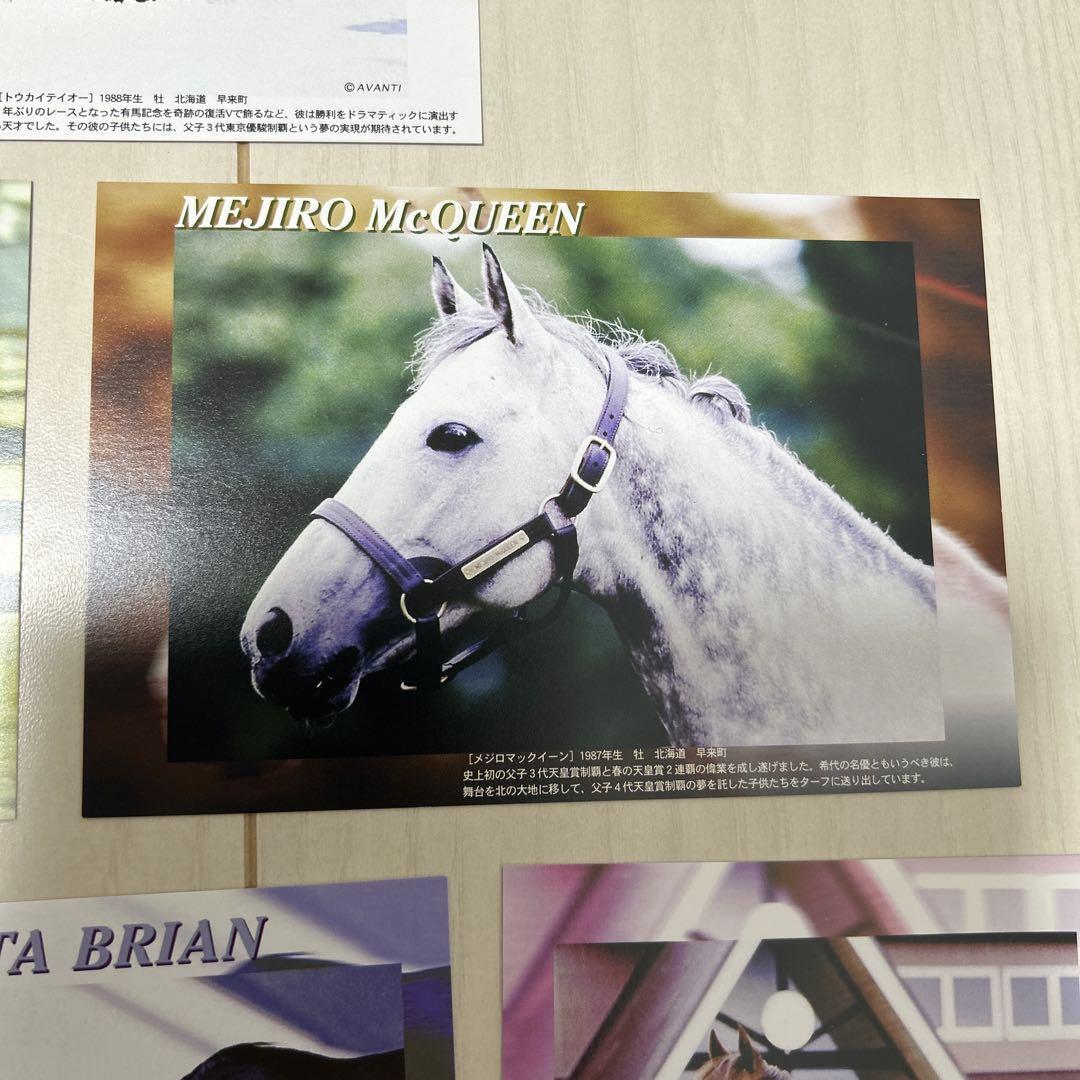 JRA Horse Racing Postcard Set of 5 - Oguri Cap & Narita