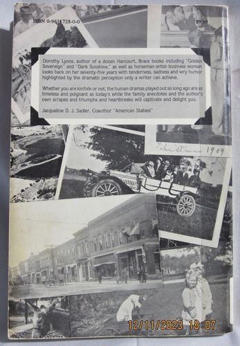 1983 THE DEVIL MADE THE SMALL TOWN by DOROTHY LYONS, 1st Edition, Paperback - Picture 10 of 16
