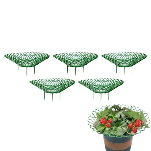 5/10PCS Strawberry Stand Frame Holder Balcony Planting Rack Fruit Support Stands