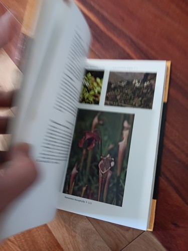 Signed Copy Wildflowers of the Southeastern United States, Hardcover - Picture 12 of 13