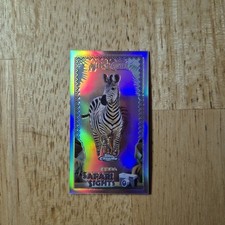 Zebra | 2020 Topps Allen & Ginter Chrome Safari Sights #SSC-11 Mini