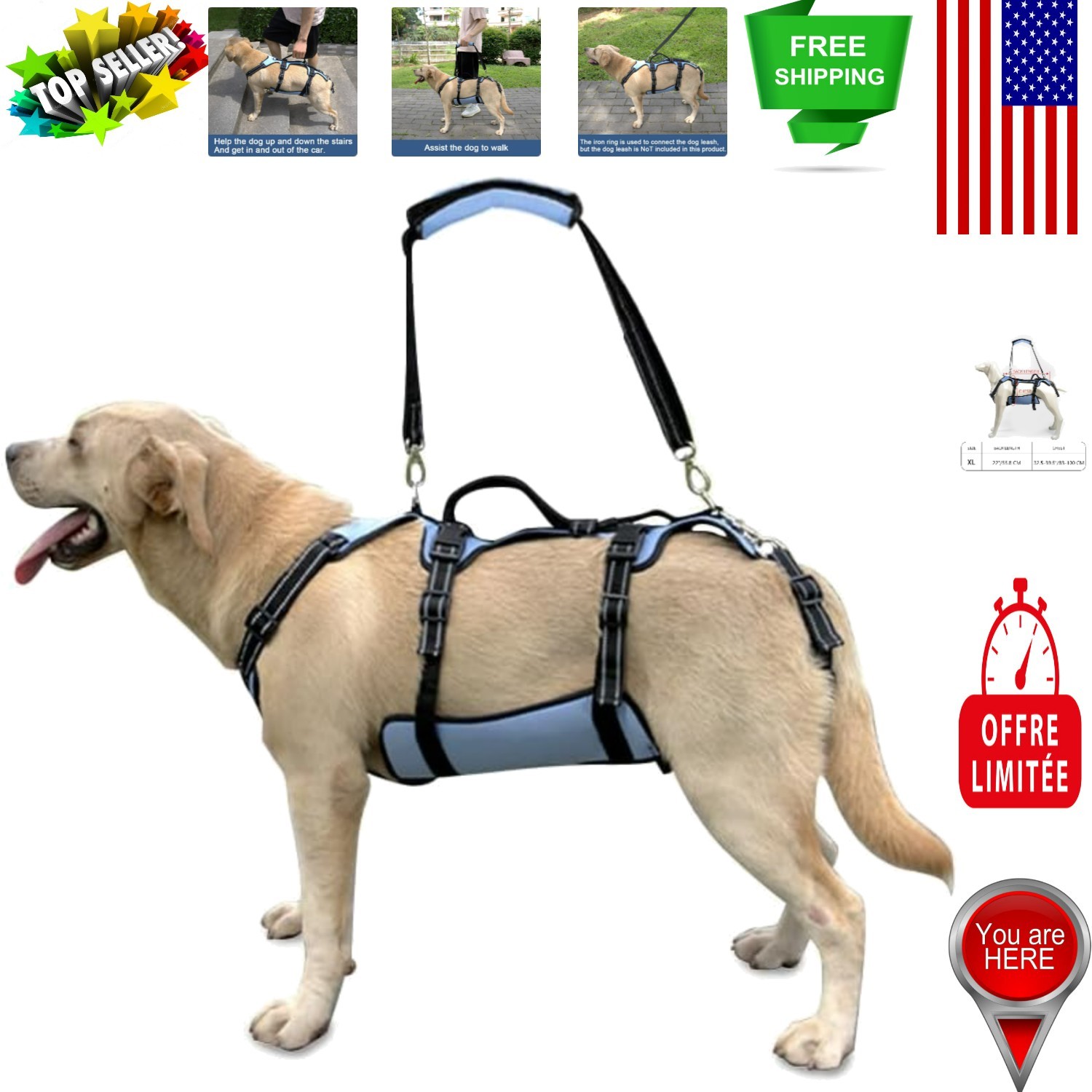 Dog Rehabilitation Lift Harness - Full Body Support for Senior Dogs XL