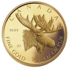 2004 50C Canada 1/25 Ounce GOLD Coin - Majestic Moose