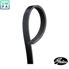 VRIBBED BELT 4PK1418SFHD FOR MAN D0834LFL65/0834LFL68/0834LFL76 4.6L 4cyl TGL