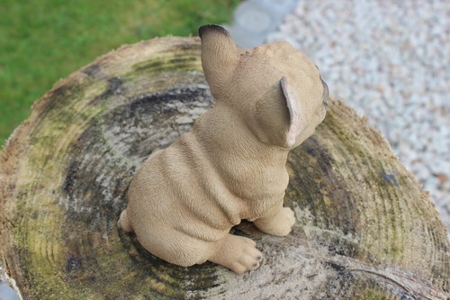 Vivid Arts - Golden French Bulldog Puppy Pet Pals - Picture 6 of 7