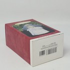 Foto 6 di 10