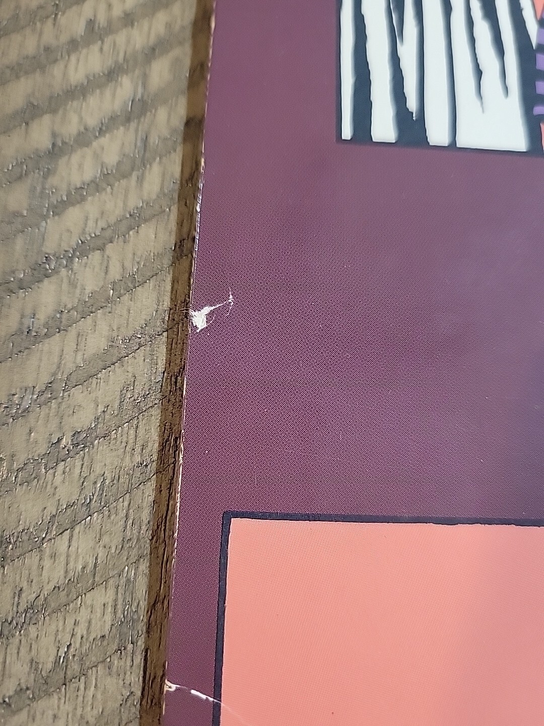 Picture 4 of 19