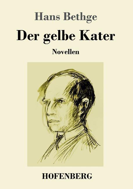 Der Gelbe Kater | Buch | 9783743728912