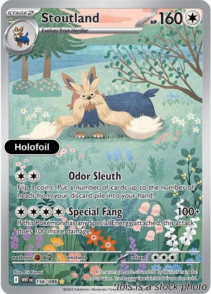 Stoutland | Holofoil | SV: White Flare #156/086