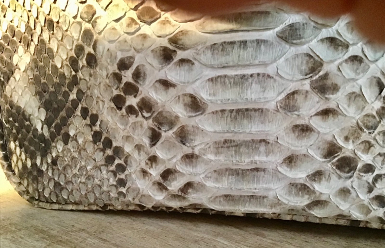 Picture 5 of 11